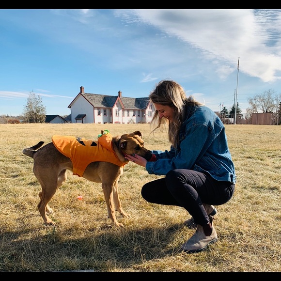 SOLD - Dog Halloween Costume π - Picture 4 of 6
